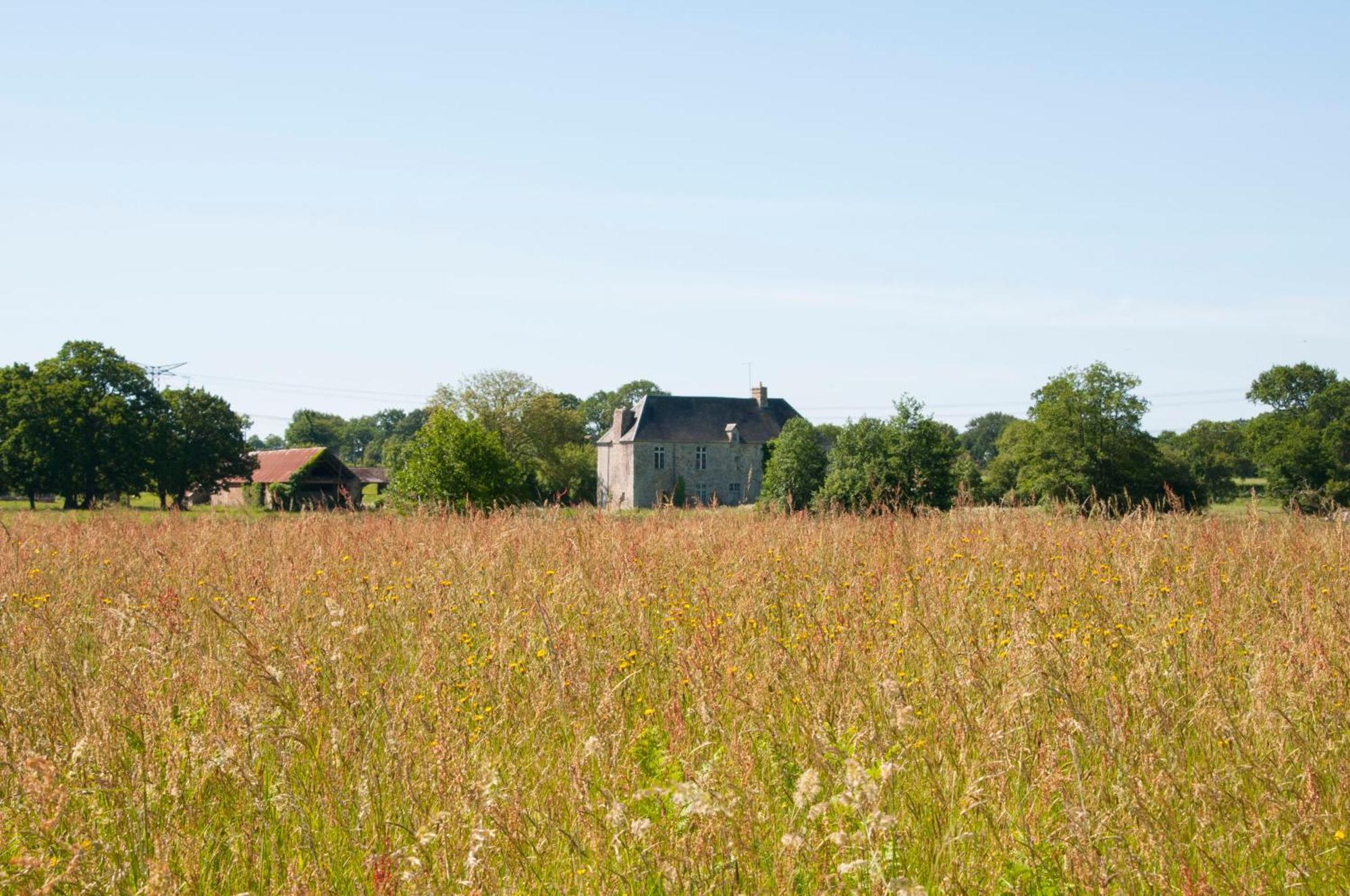 La Maison Des Tilleuls Saint-Germain-Sur-Seves Kültér fotó